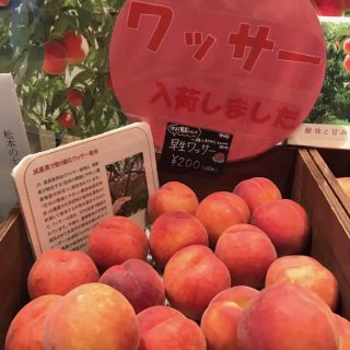 フルーツリレーは…皆さんお待ちかね、あの人気フルーツです!!