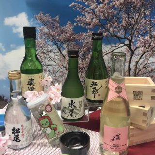 春だ！お花見へ行こう🌸